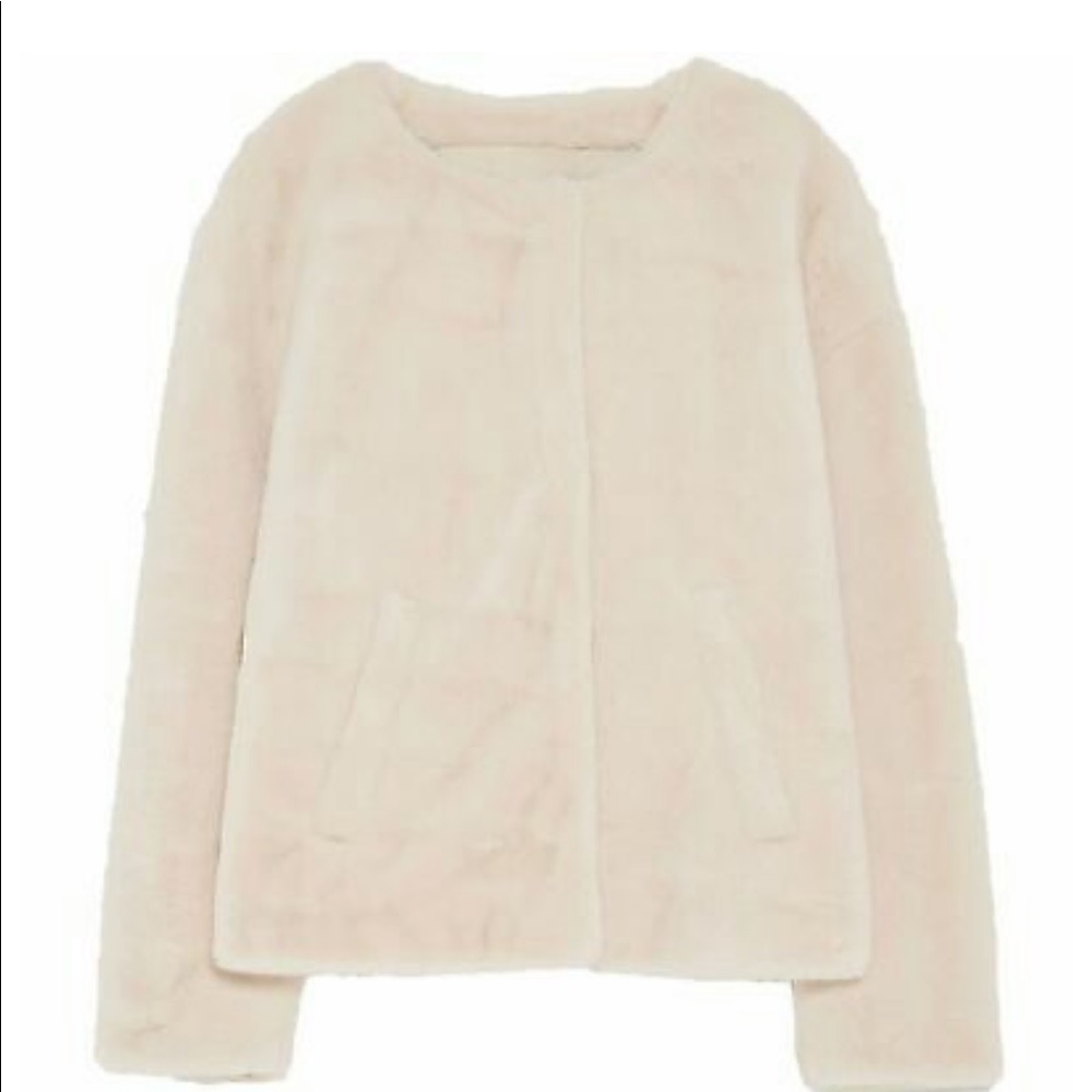 ZARA Light Teddy Coat
